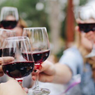 Organic Wine Discovery